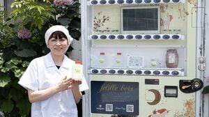 【中古】 すべってころんで/中央公論新社/田辺聖子 すべってころんで 中公文庫 中古本・書籍 | ブックオフ公式