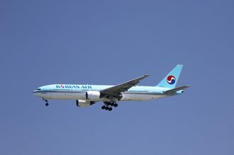 大韓航空､スタンガンの即時使用を可能に