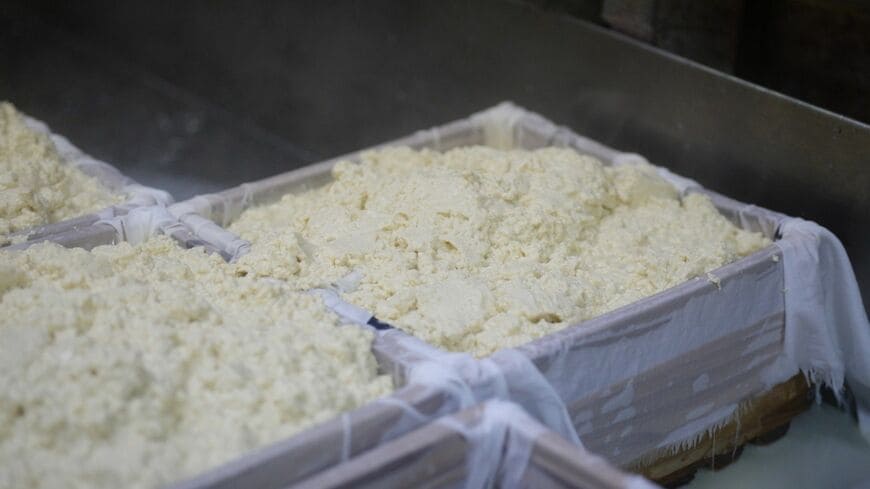 大量のおからが産業廃棄物として扱われ、処分されています（写真：Nori / PIXTA）