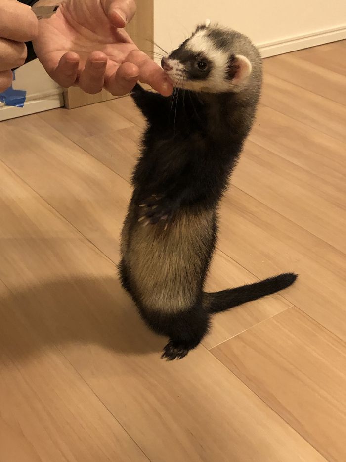 （写真提供：ミキさん）