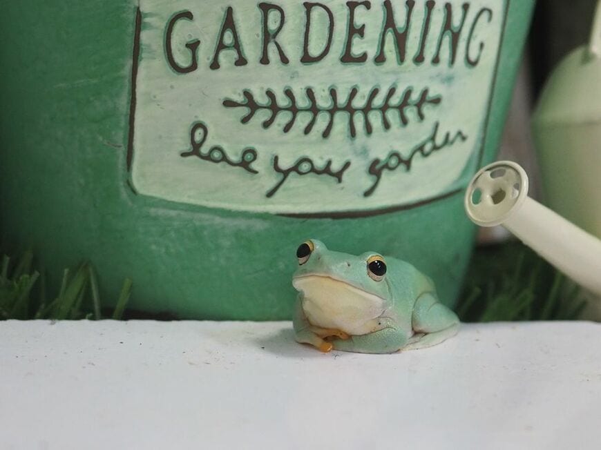 （写真提供：ぴよさん）