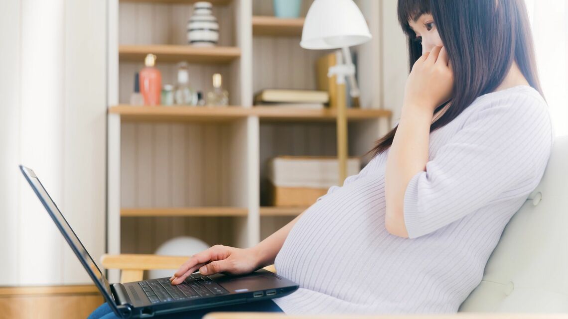 PCを操作する妊婦