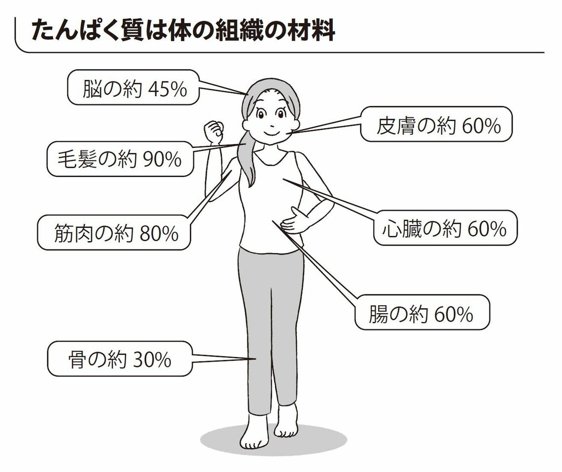 （出所：『30秒で体力がつく スゴイもも上げ』より）