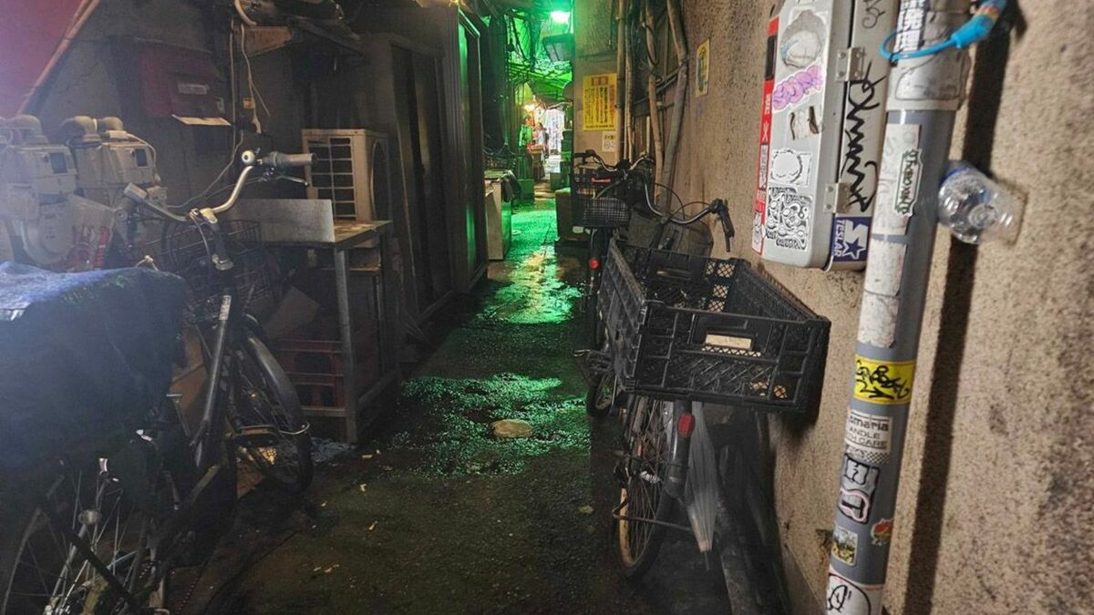 ｢歌舞伎町に大量発生｣相談件数が増加している《ドブネズミ》…東大"ネズミ博士"が｢即刻駆除｣に待ったをかける理由 | ライフ | 東洋経済オンライン
