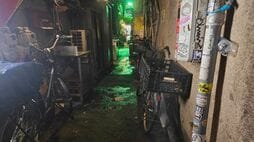 ｢歌舞伎町に大量発生｣相談件数が増加している《ドブネズミ》…東大"ネズミ博士"が｢即刻駆除｣に待ったをかける理由