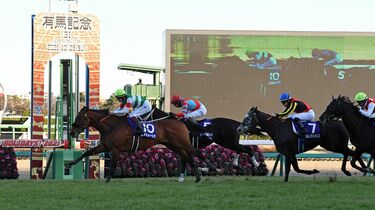 オグリキャップ 単勝馬券 ’90年天皇賞(秋)G1 オグリキャップ 1989年天皇賞(秋)G1 単勝馬券【シンデレラグレイ