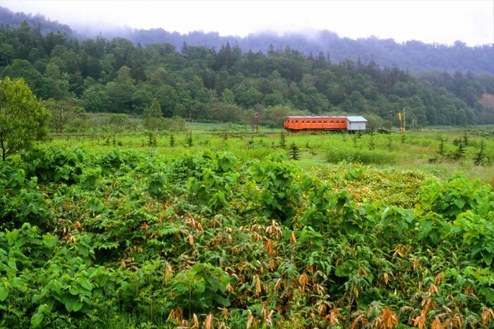 特定地方交通線の廃止第1号として1983年に