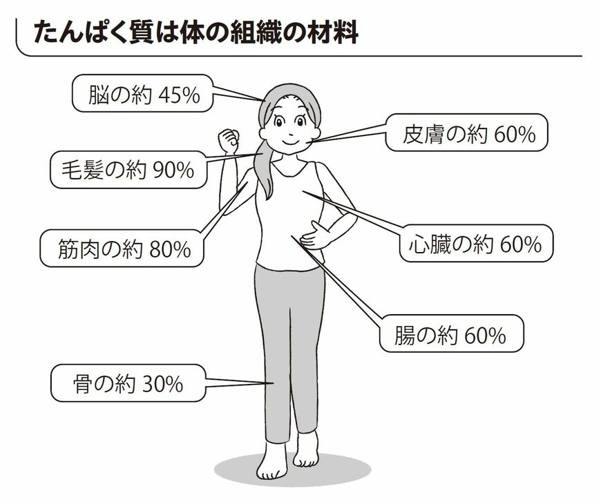 （出所：『30秒で体力がつく スゴイもも上げ』より）
