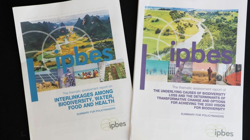 2024年12月中旬に相次いで公表されたイプベスの2つの報告書（撮影：河野博子）