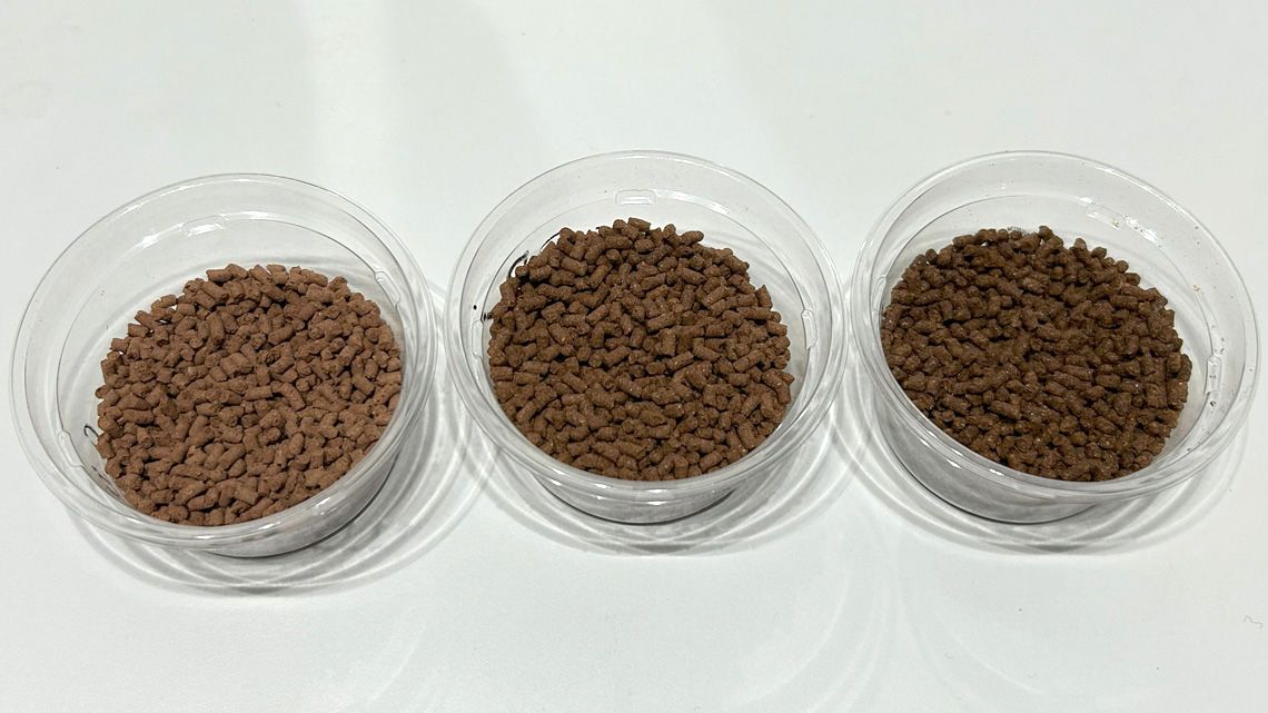 昆虫由来の代替飼料