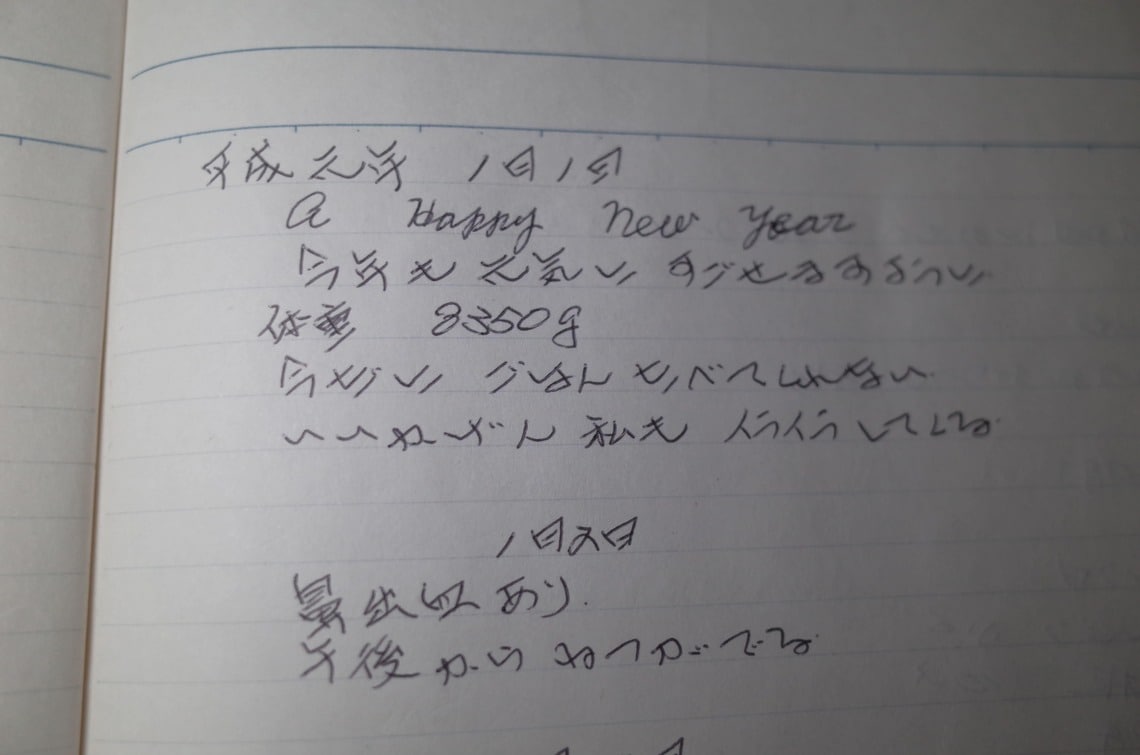 元の日記帳から抜粋して書き加えた可能性も（筆者撮影）