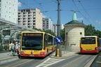 ワルシャワの路線バスは路面電車の駅に入ってくる