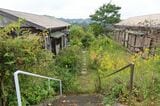 イベントなどで草刈りをしても人が住んでいないとあっという間に繁茂する。写真は筆者撮影時のもの（写真：筆者撮影）