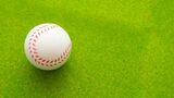 野球の根強い人気を示した第5回WBC。第6回大会に向けて、メディアが果たすべき役割とは（写真：なべすん／PIXTA）