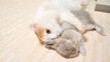 （写真提供：やすさん）