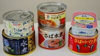 ｢サバ缶｣大ブームでも水産会社が喜べない事情 ｢代用品｣としてイワシ缶が赤丸急浮上中