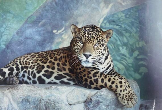 ごかつら池どうぶつパーク