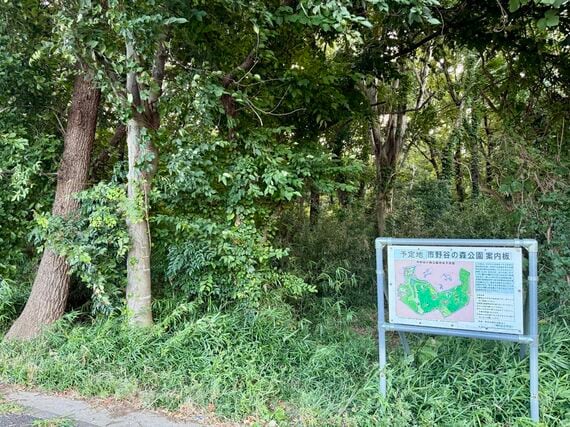 市野谷の森公園