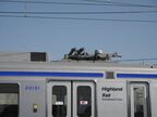20101号車にはパンタグラフを1基搭載。