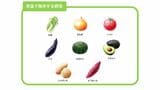 常温で保存する野菜