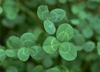 《プロに聞く！人事労務Q＆A》会社に報告なしに副業をしている社員を処罰できますか？