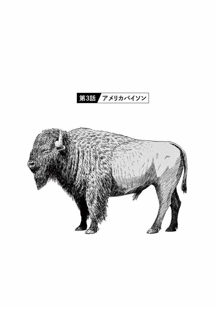 絶滅動物物語 | アメリカが先住民とともに追い詰めた動物の末路