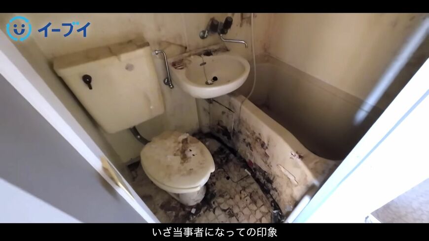 （画像：「イーブイ片付けチャンネル」より）