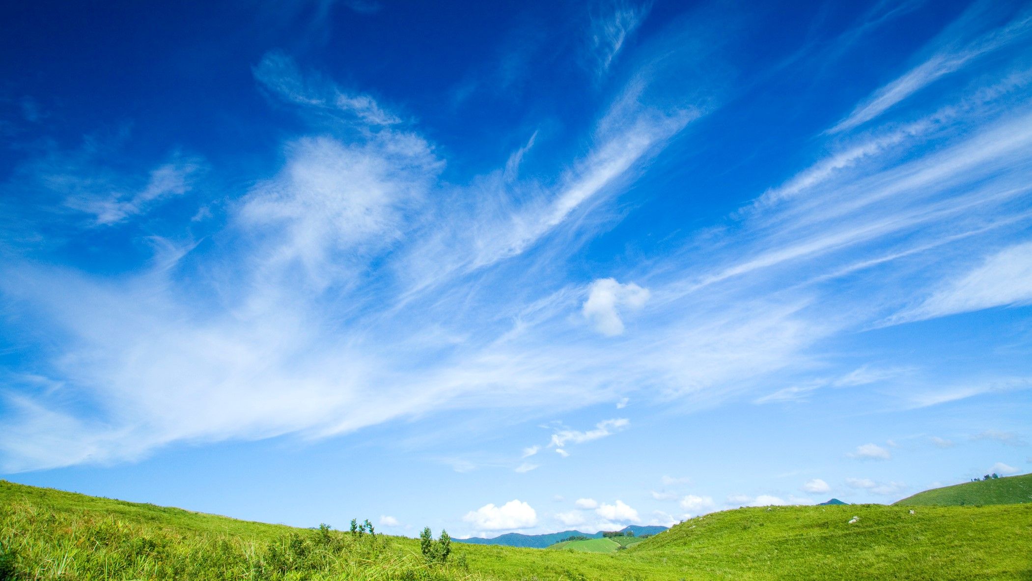 死んだらどこへいくのか 納棺師が出した 答え 家庭 東洋経済オンライン 社会をよくする経済ニュース