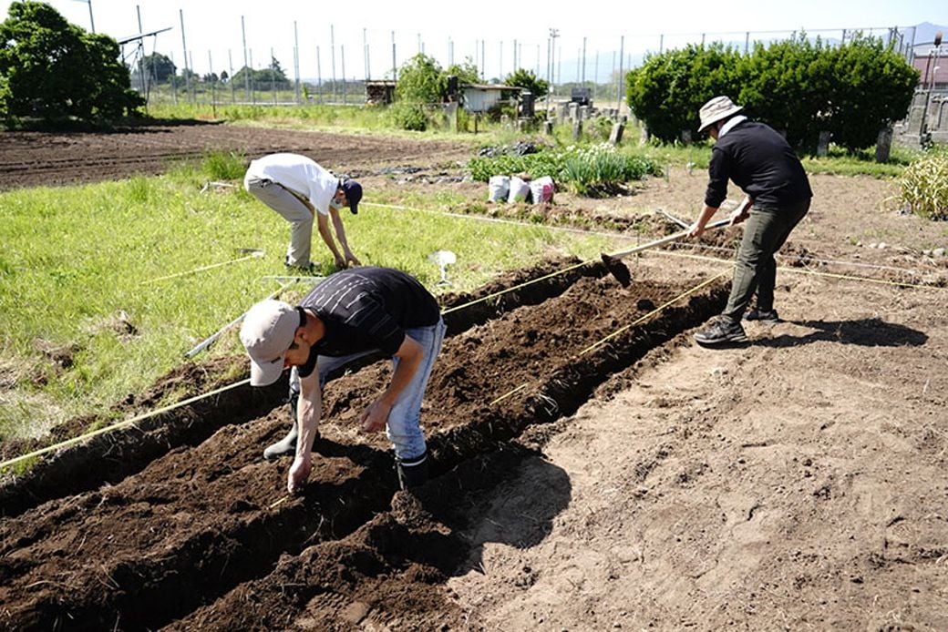 地域の畑を借りて、希望者で農園をシェア。移住後にしたい「農のある暮らし」を実現した（写真提供／ホシノマチ団地）