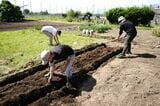 地域の畑を借りて、希望者で農園をシェア。移住後にしたい「農のある暮らし」を実現した（写真提供／ホシノマチ団地）