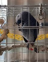 （写真提供：カマタさん）