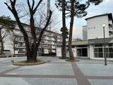 団地