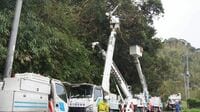 千葉の停電､復旧を阻む｢真因｣は何なのか 荒廃した山林の倒木が電線を切断､難工事に