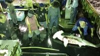 マグロ漁業に見る｢海の人権問題｣と日本の食卓
