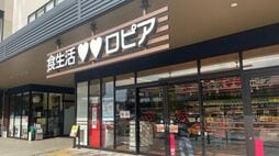 廃墟モールにロピアが入居→ロピア周辺だけにぎわう…｢復活が叶わない｣施設の特徴と､"皮肉な延命"から学べること