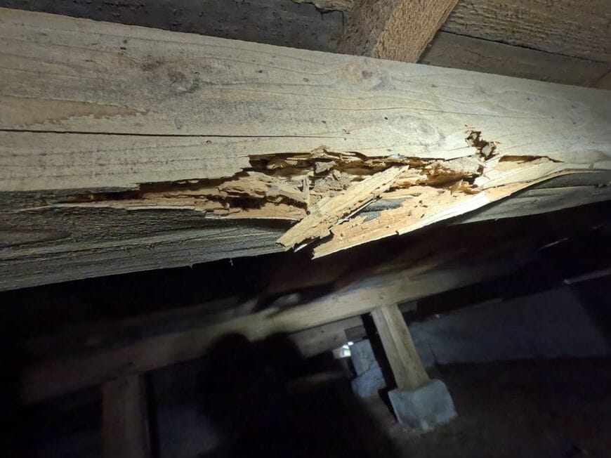 シロアリ被害による家屋倒壊