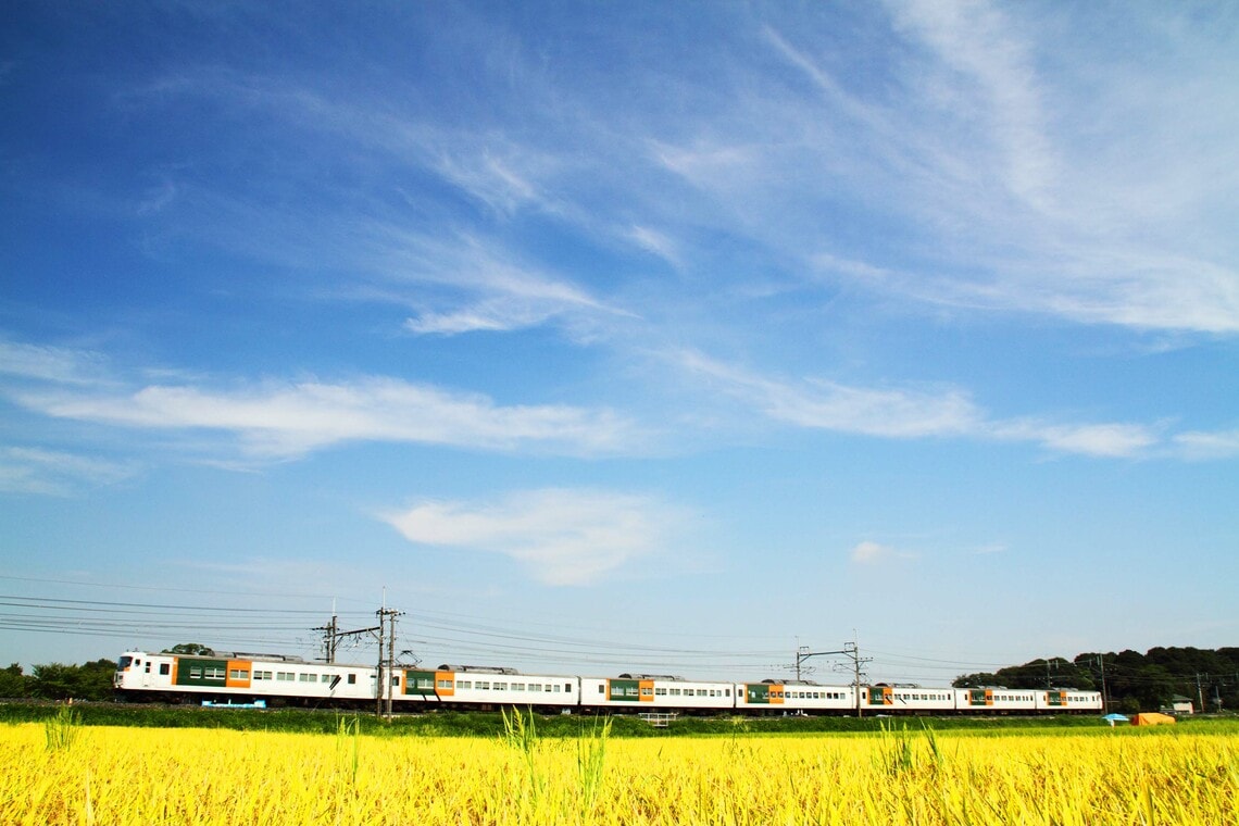 秋晴れの東北本線を快走（筆者撮影）