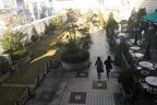 北側の屋上広場。植栽はクレーンで吊り上げた