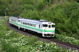 石北本線を走るキハ40形（撮影：南正時）