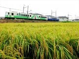 秋の田園を走る四日市あすなろう鉄道の電車（撮影：南正時）