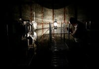 高齢化の日本で｢無縁遺骨｣が増加している 失われる家族の絆