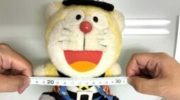 ｢できる限りのことをしてあげて｣25年連れ添ったぬいぐるみの"入院代"1万8370円を､30歳女性が超納得して払えたワケ