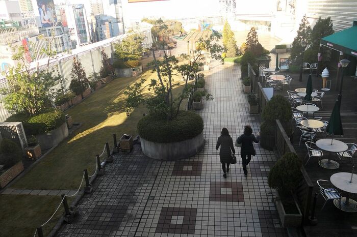 北側の屋上広場。植栽はクレーンで吊り上げた