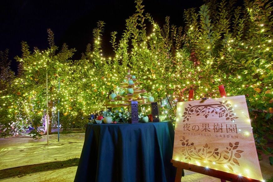 果樹園をライトアップし、幻想的な雰囲気に演出。夜に楽しめる工夫で集客に大成功（写真：まるせい果樹園提供）