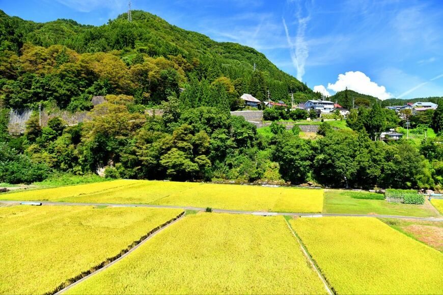 「水曜日のダウンタウン」の舞台地になったと言われている、長野県長野市の戸隠祖山地域（写真：いつか／PIXTA）