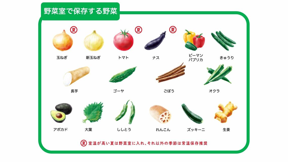 野菜室で保存する野菜