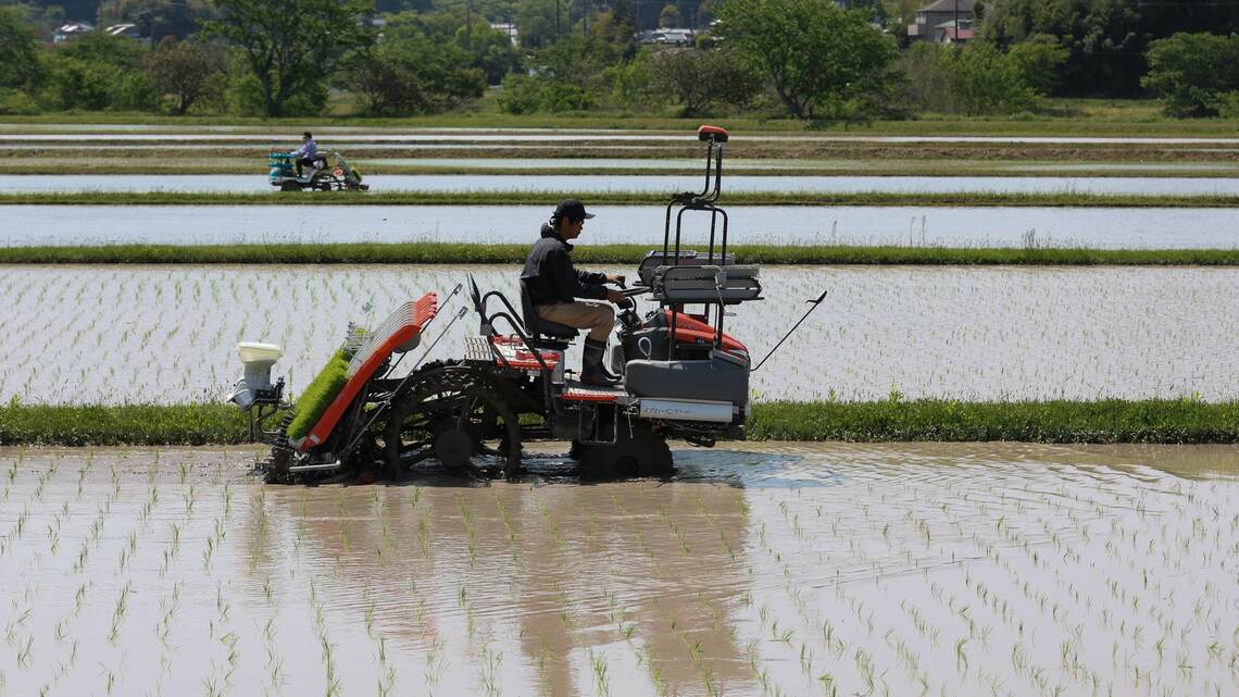 日本の田植え（写真：ブルームバーグ）