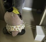 （写真：鈴木さん提供）