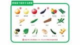 野菜室で保存する野菜