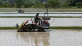 日本の田植え（写真：ブルームバーグ）